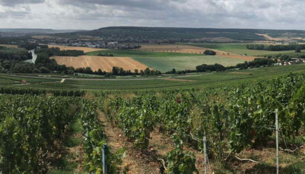 Un des vignobles du circuit