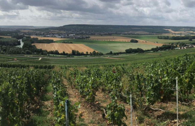 Visite sur le thème du champagne à Épernay, Hautvillers et Mareuil - Photo 8