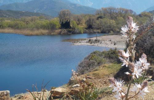 Villa Padulina au bord de la mer avec piscine - Foto 65
