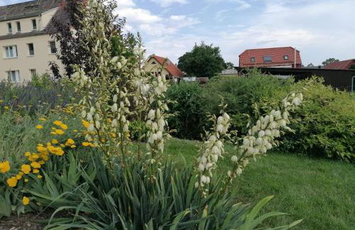 Ferienwohnung Störmthaler See - Foto 18