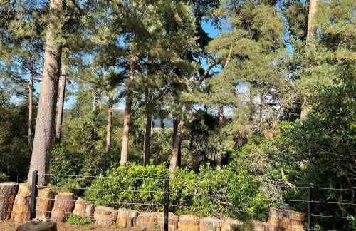 The Observatory Annexe - Foto 34