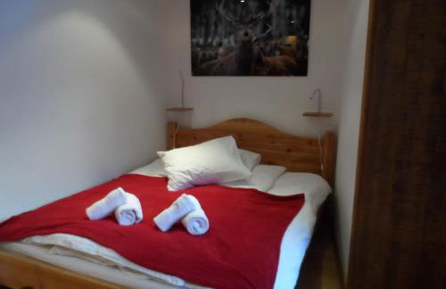 Prachtig familie appartement voor 6 personen in het hart van Argentière, Chamonix Mont-Blanc - Foto 16