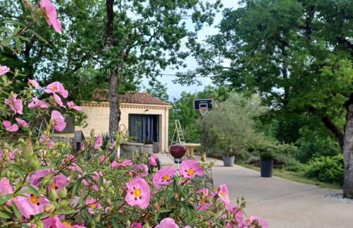 Domaine Anges et Oiseaux 2 à 10 personnes - Foto 9