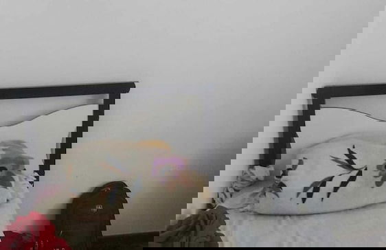 Edificio Tiradentes - Foto 1