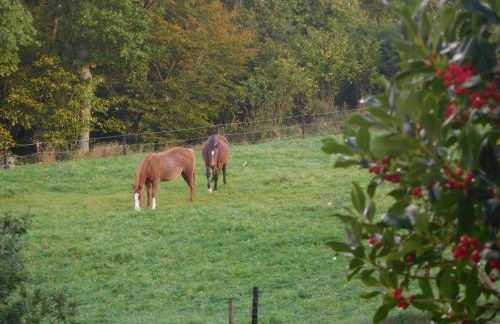 Ferienwohnung Charly - Foto 31