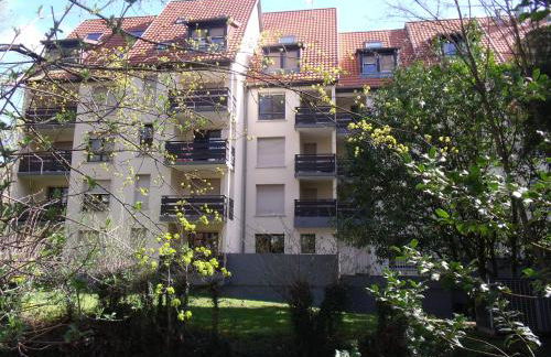 l'ecureuil - Foto 13