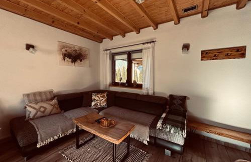 Bieszczady Żubrowe Wzgórze 785-049-543 - Foto 46