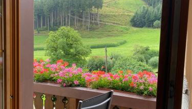 Waldbauernhof - Foto 2