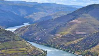 Pinhão House - Foto 3