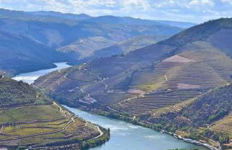 Pinhão House - Foto 3