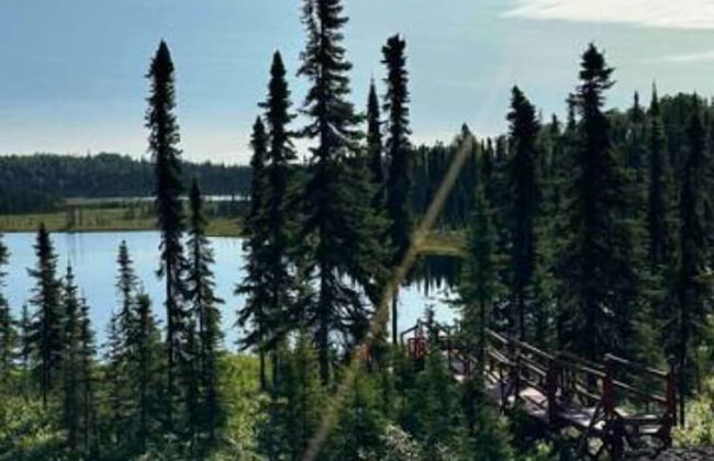 Moose Landing - Foto 67