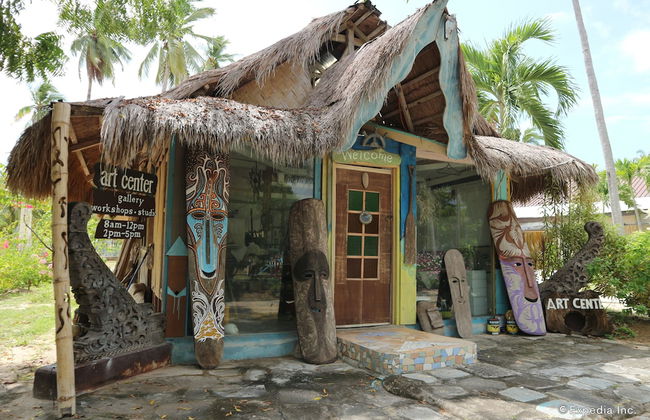 Dos Palmas Island Resort & Spa - Foto 44