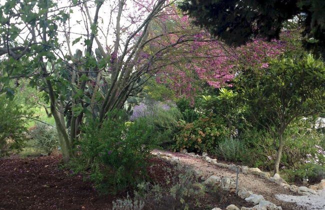 Trulli Mimosa by Pugliadamare - Foto 42