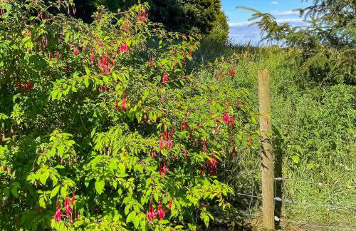 Muir Cottage - Uk44788 - Photo 14
