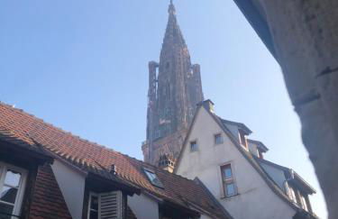 Carpe Diem Home Strasbourg - Foto 29