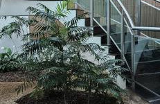 Um lugar de charme e aconchego - Lírio! - Foto 24