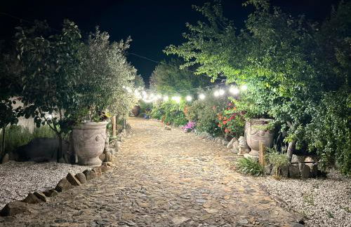 Casa dos Avós - Foto 24