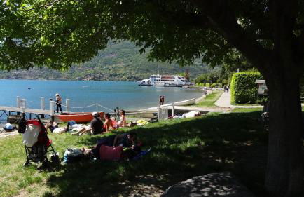 Il girasole - Foto 29