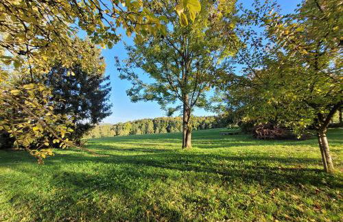 Landschule Rhön - Foto 37