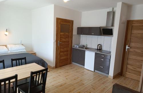 Apartamenty Domki Pokoje WeMa Wicie - Foto 42