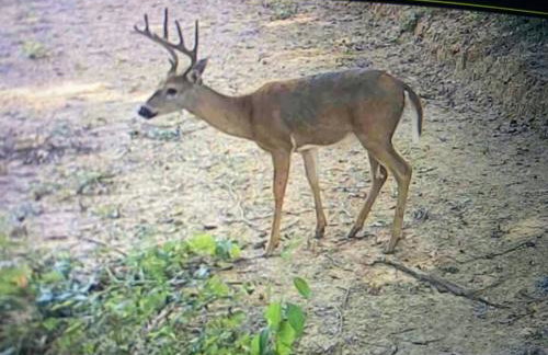 Sleeps 5-6 Near RRG-Hot Tub-Nice Sunrise-Quiet - Foto 73