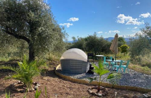 Finca Las Fuentezuelas - Foto 21