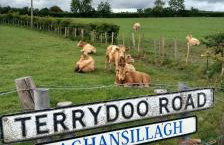 The Shepherd's Cottage - Foto 26