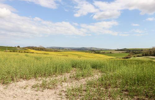 The Old Dairy - Photo 20