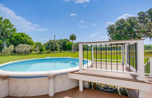 Sleep With Sloths and Lemurs! Modern Webster Home - Foto 28