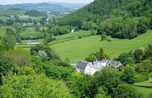 The Forest Country House B&B - Foto 10