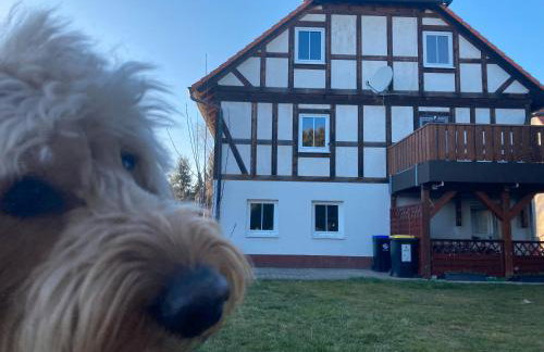 Ferienwohnung Wie zu Hause - Foto 16