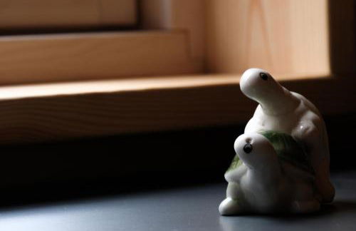 Tortuga - einfach anders! - Foto 28