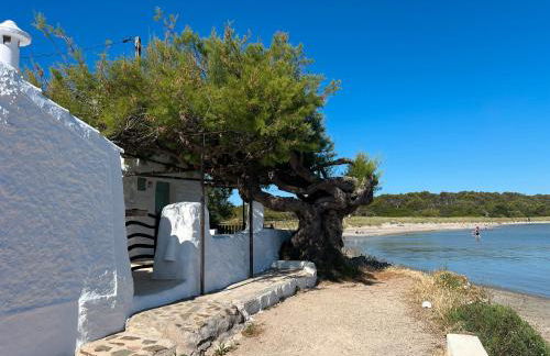 Una casa sulla spiaggia - Foto 1