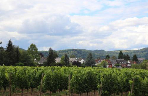 Hildegard von Nell - Foto 31