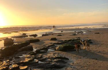 Sunrize Destinations - Newly renovated Mesa Studio - Foto 5