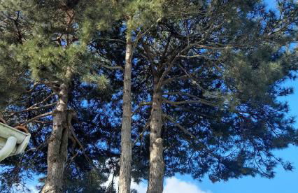 Le Stud' à Saint Pierre d'Oléron ! - Foto 16