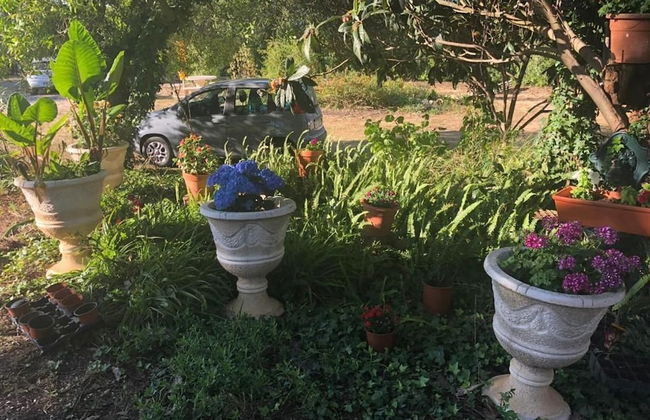 Nature Houses - Foto 43