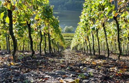 Ferienwohnung Im Bachtal - Foto 58