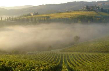 Castello Di Gabbiano - Foto 6