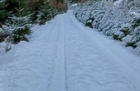 La Lauze Ascou - Foto 18