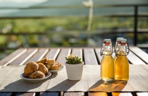 LaVistaDeiSogni Palmarette - Foto 16