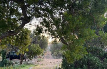 Casedda Mia a charming cottage with cozy private pool - Foto 42