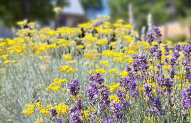 Apartman Barbara - Foto 19