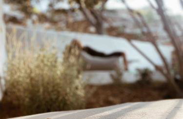 Agreli House - Foto 30