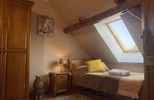 Kamień i Sowa - Foto 36