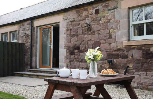 Greenfinch - Foto 10