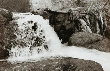 Don Mauricio y periquines - Foto 42