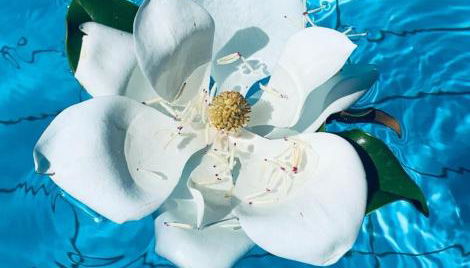 Il Rifugio di Anna Maria - Foto 3