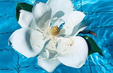 Il Rifugio di Anna Maria - Foto 3