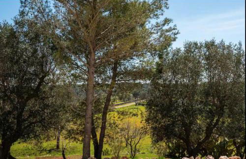 Siede la Terra - Trullo con piscina - Foto 24